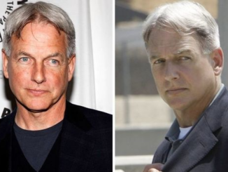 NCIS Why did the show s creator not want Mark Harmon to play Gibbs