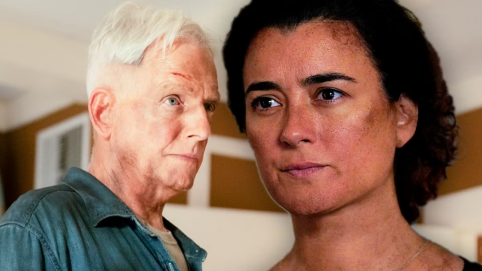 Ziva and Gibbs in NCIS