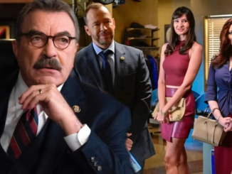 Blue bloods season 14 news release date cast story trailer