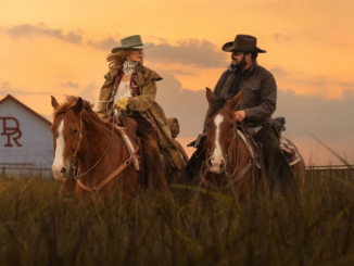 Dutton ranch yellowstone spin off