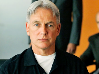 Gibbs in ncis