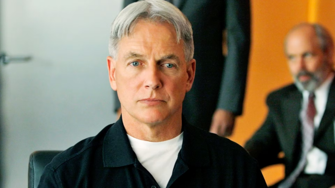 Gibbs in ncis