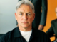 Gibbs in ncis