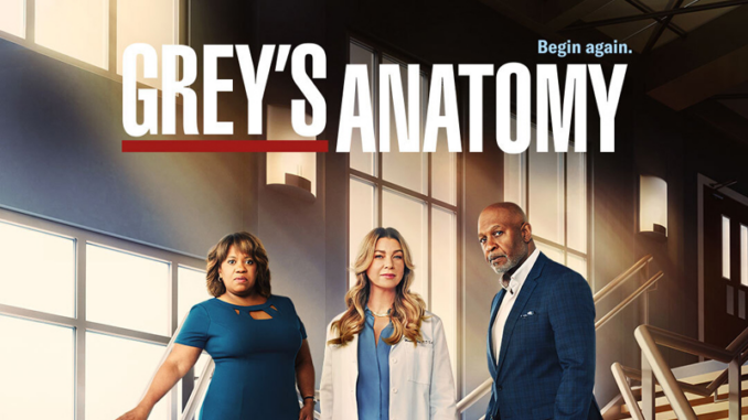 Greys update