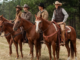 Lee dutton jamie dutton kayce dutton and john dutton from yellowstone