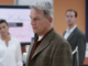 Leroy jethro gibbs in the office in ncis season