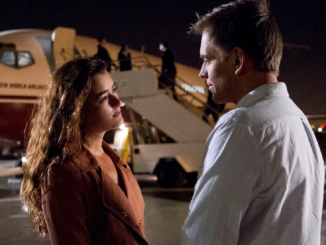 Ziva and tony saying goodbye in front of an airplane when cote de pablo exited ncis in season