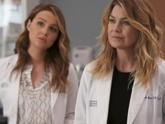 156295 tv news feature grey s anatomy season 17 release date how to watch and how to catch up image1 f0xbtreiqm