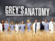 Grey s anatomy field shoot x62xi4gv1y9l0d4i