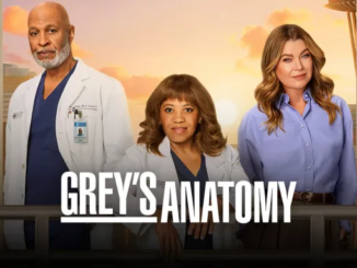 Greys anatomy