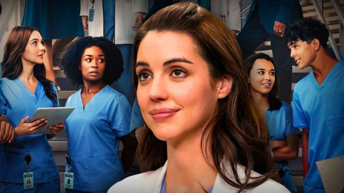 Greys anatomy