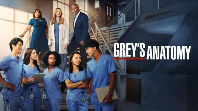 Greys anatomy c