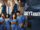 Greys anatomy c