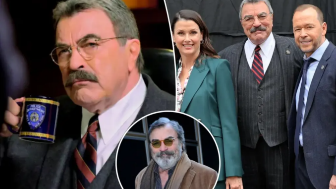 Newspress collage a7h72fihg