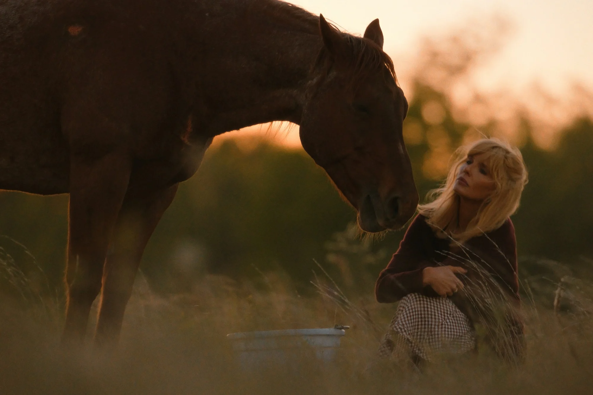 Dutton ranch